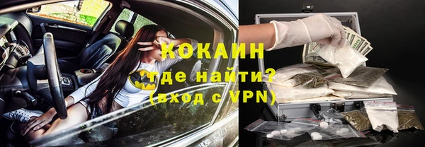 тгк Магас