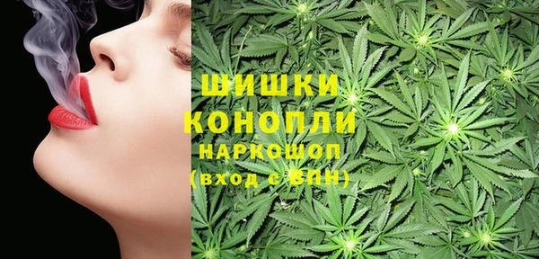 тгк Магас