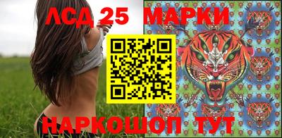 гидропоника Камышлов