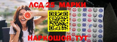 гидропоника Камышлов