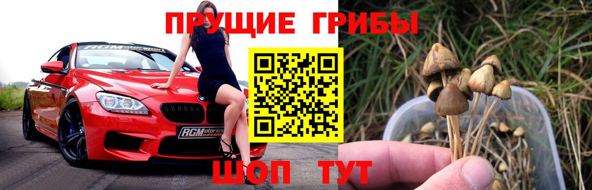 Оренбург  Галлюциногенные грибы Psilocybine cubensis  Вход с VPN  Галлюциногенные грибы GOLDEN TEACHER 